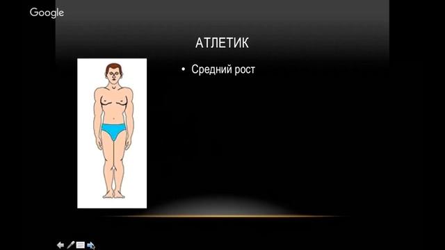 Типы телосложения и их характеристики. смотреть онлайн