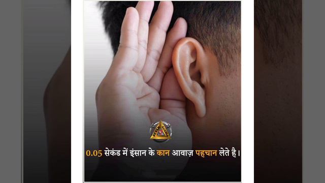 #short #fact #7sciencefactxyz смотреть онлайн