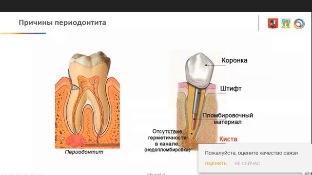 Лучевая диагностика зубочелюстной системы Клиническая применимость смотреть онлайн