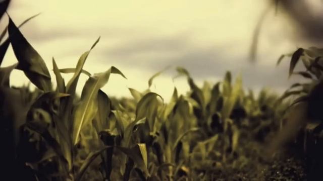 Abel Korzeniowski- Going Somewhere смотреть онлайн