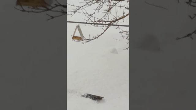 Если имя твоё Татьяна... смотреть онлайн