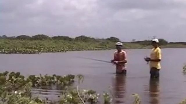 Part-4, Fishing - Pirarucu (Mexiana Island - Delta Amazon River) смотреть онлайн