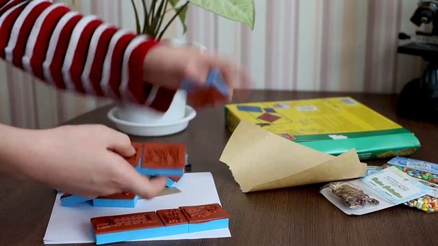 ЛОШАДИ: 11 штампиков и пуговицы! смотреть онлайн