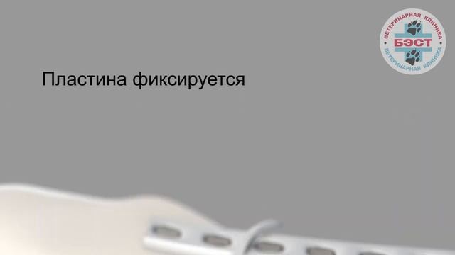 Глава 2. Фиксация оскольчатого перелома бедренной кости смотреть онлайн