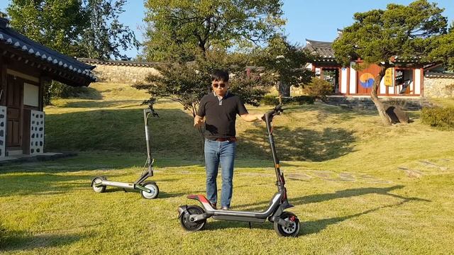 [국내최초] 나인봇 세그웨이 P100S 전동킥보드 리뷰 / P65a 상위 버전 / Ninebot Segway P100S Electric Kick Scooter Review