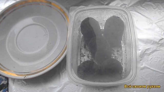 Как Посеять Немезию на Рассаду? Посев Немезии без Хлопот смотреть онлайн