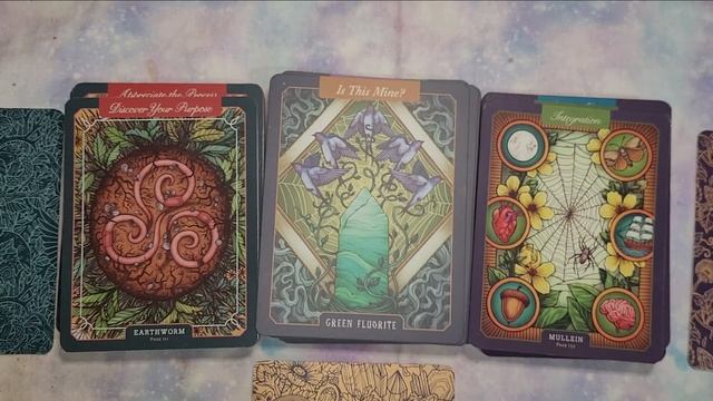 My Oracle Deck Collection End of 2022 смотреть онлайн