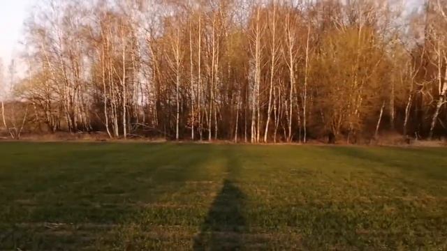 Нагонка Русской Гончей Песни по Зайцу-Русаку 08.04.2020 смотреть онлайн