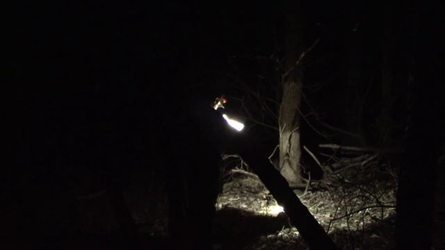2019 PKC Deer Creek Classic legacy hunt late round смотреть онлайн