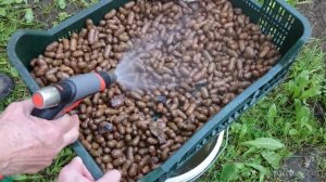 Керамзит для комнатных и садовых растений