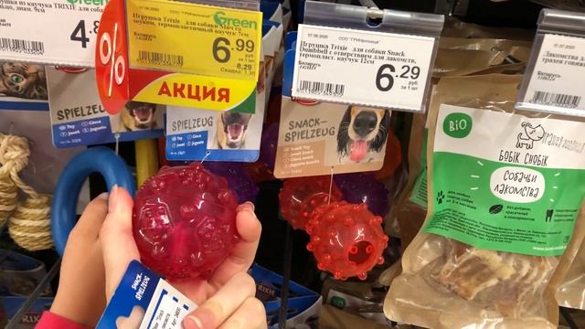 Выбираем новую игрушку для щенка мальтезе