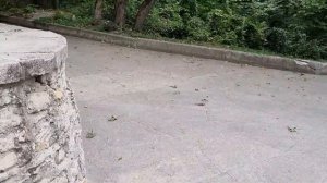Новый парк Железноводска покорил своей красотой