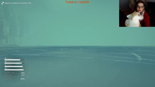 How NOT to Kill 4 Wolves with 1 Arrow and a Corgi in The Long Dark [Pls Ignore the Bullet] смотреть онлайн