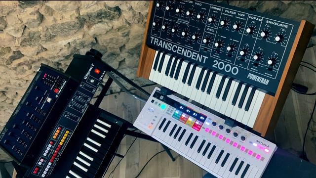 Elka Wilgamat, Oberheim DX and Powertran Transcendent 2000 in sync смотреть онлайн