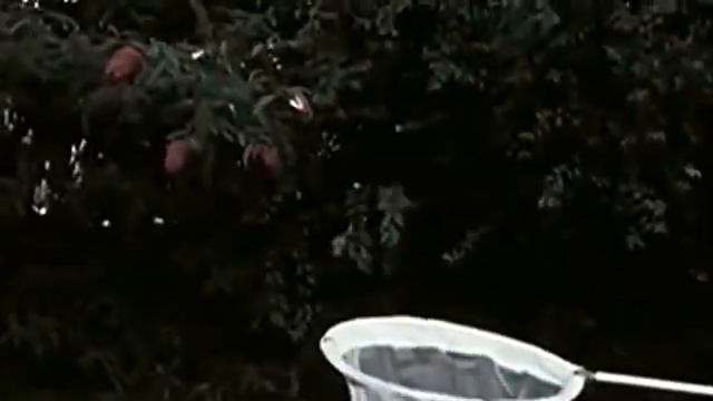 Vladimir Nabokov Interview and Documentary смотреть онлайн