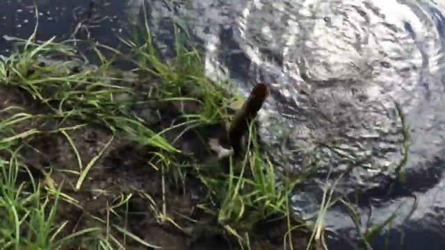 Рыбалка Тобольск 2016 смотреть онлайн