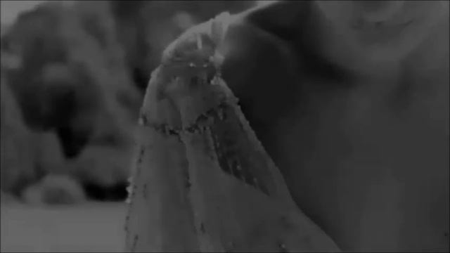 Tamara - Abrázame смотреть онлайн