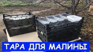 тара для малины || приспособление для сбора малины || Упаковка для малины