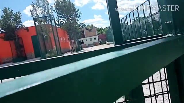 Едем в Сафари парк смотреть онлайн