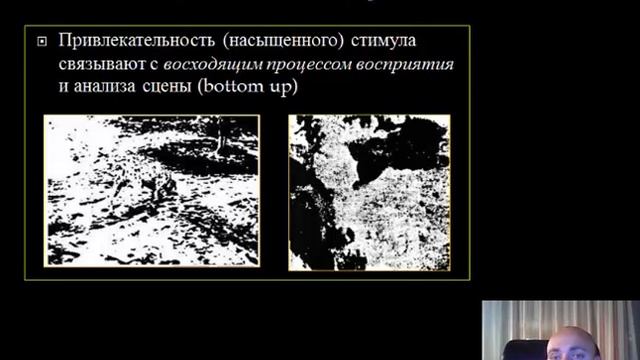 Психология внимания лекция 4 часть 2 смотреть онлайн