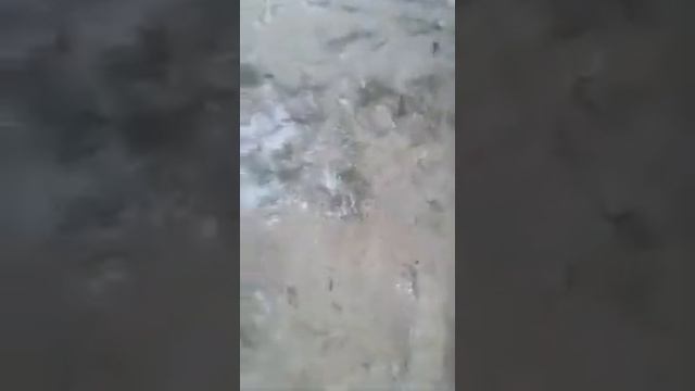 Как мы проверяем мотор Scania DC 11.04 смотреть онлайн