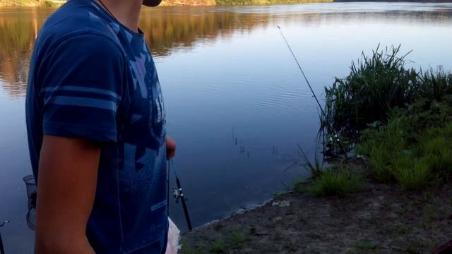 ДОН 2018.РЫБАЛКА НА ДОНУ,ЛОВЛЯ НА ФИДЕР ПОЛ САДКА РЫБЫ СУПЕР КЛЁВ! смотреть онлайн