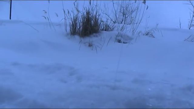 Отдыхайте с душой смотреть онлайн