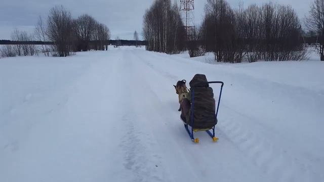 Фрай Винд Одри и санки смотреть онлайн