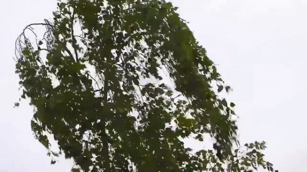 Украинская песня Сильний вітер