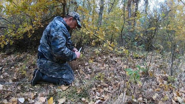 Зоопарк Дома