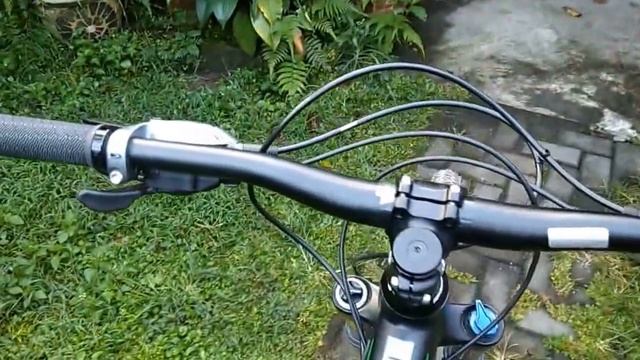 POLYGON SISKIU D6 (Custom Build)