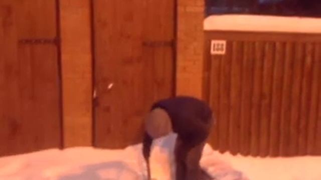 Землеройка смотреть онлайн