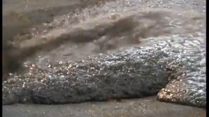 Биореакторы БУГ для переработки навоза и помета