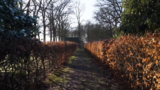 Муж узнал, что у жены есть любовник, но то, что потом сделал муж удивило даже его жену смотреть онлайн