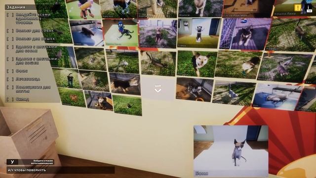 Приют Кошек и Собак Пурумчата #12 Обнова и Региональный и Национальный Кубок Кида в Animal Shelter смотреть онлайн