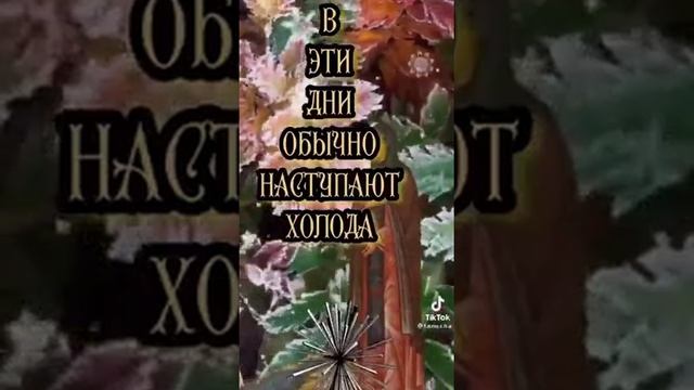  смотреть онлайн