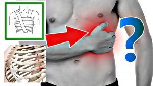 Как отличить перелом ребер от ушиба как определить перелом ребра или ушиб?