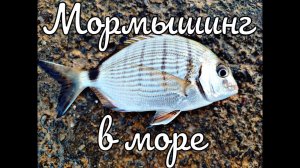 #мормышинг в средиземном море☀ #рыбалка #спиннинг #ловля #морскаярыбалка
