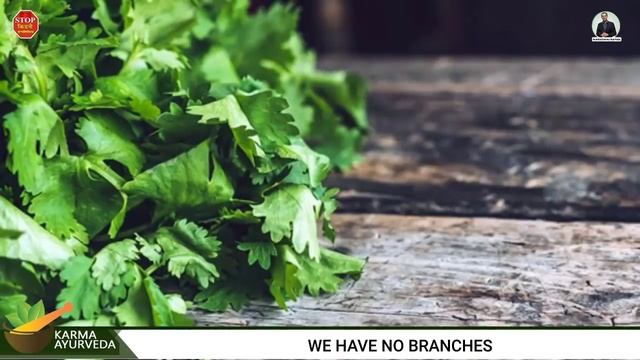 How coriander leaves good for kidney patients | क्या बढ़े क्रिएटिनिन में धनिया खा सकते है किडनी रोगी смотреть онлайн