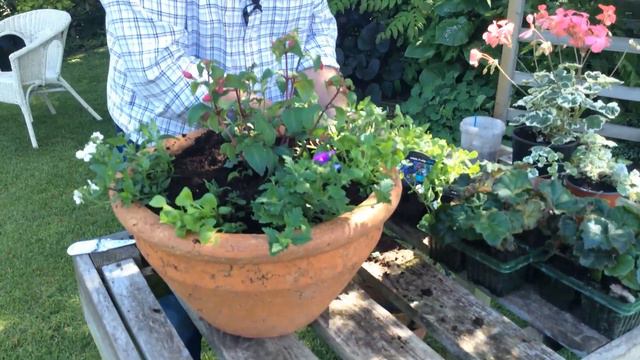 Summer Planters & Planting Tender Vegetables - Pots & Trowels