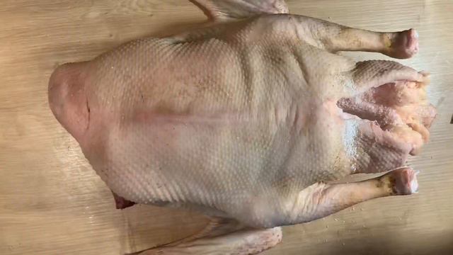 Влог. Гуси занеслись! 🦢 ВЯЛЮ ГУСЯ! 🦢 Жанин хулиганит! 😂🐕🦺 смотреть онлайн