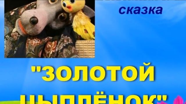 Золотой цыпленок   19апр