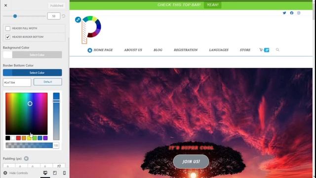 How to edit the OceanWP Theme Header Border Bottom смотреть онлайн
