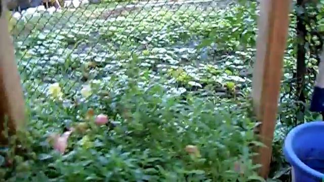 делаем декоративный колодец смотреть онлайн