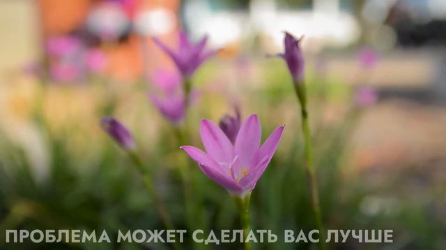 Проблема может сделать вас лучше. Глава 26 часть 2 смотреть онлайн