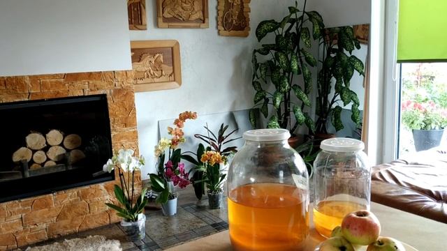 Анимационные Фильмы для Детей и Взрослых