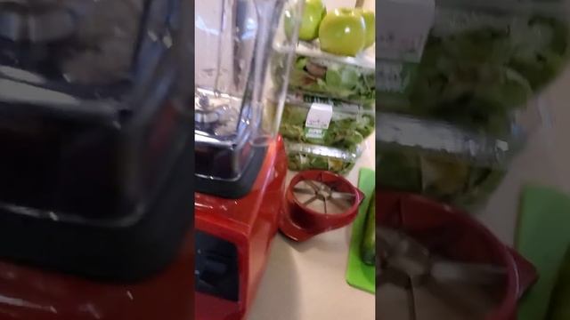 Vitamix E310 Series смотреть онлайн