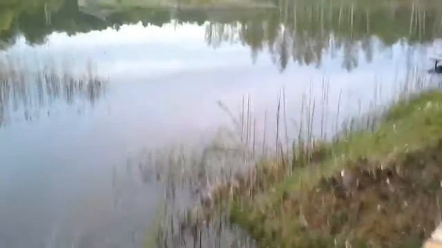 Рыбалка вашутино смотреть онлайн