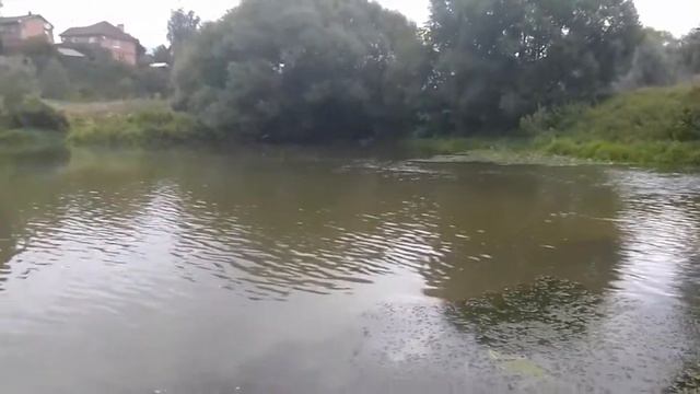 Рыбино, омут на реке Десна смотреть онлайн