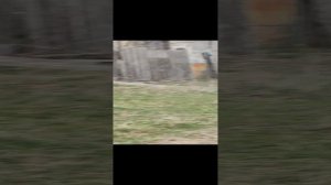 Такой вот ньюанс...